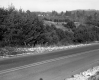Gilson Property, Trees and Shrubs on Rolling Hills