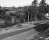 Gilson Property, Trees and Shrubs on Rolling Hills