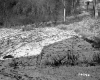 Davis and Modugno Property, Field and Forest