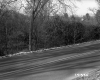 Dunham Property, Forest on Highway