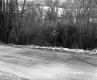 Dunham Property, Trees along Highway