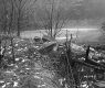 Hunter Property, Broken Rocks and Branches