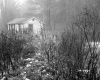Carrara Property, Small Dwelling