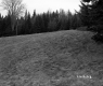 Churchill Property, Field and Forest