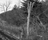 Grabowski Property, Abandoned Railroad Tracks