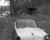 Sabotka Property, Cabin on Forested Hill