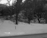Gawet Property, Forested Hill