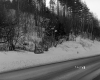 Gawet Property, Forested Hill