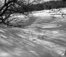 Arthur Erickson, Snow-Covered Field