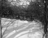 Arthur Erickson, Forest in Snow