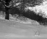 Henry Sutkoski Property, Forest in Snow