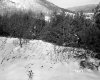 Gawet Property, Forest on Snow-Covered Hill