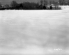 Seward Property, Snow-Covered Field