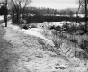 Walter Dunton Property, Snow-Covered Fields and Trees