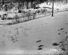 Walter Dunton Property, Snow-Covered Field 