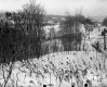 Walter Dunton Property, Snow-Covered Field along Railroad