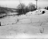 Walter Dunton Property, Snow-Covered Fields and Trees