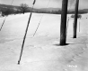Walter Dunton Property, Snow-Covered Field