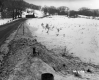 Dickinson Property, Snow-Covered Fields