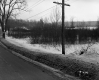 Sarah Dunton Property, Trees and Shrubs in Snow-Covered Field
