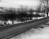 Sarah Dunton Property, Trees and Shrubs in Snow-Covered Field