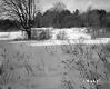 Fontaine Property, Snow-Covered Field