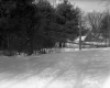 Fontaine Property, View toward Forest