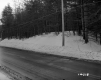 Fontaine Property, Forest along Highway