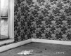 White House, Interior Room 