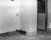 Smith House, Interior Room