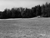 Drew's Property Near I-91