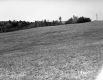 Drew's Property Near I-91
