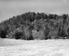 Drew's Property Near I-91