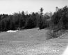 Drew's Property Near I-91