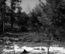 Drew's Property Near I-91