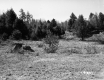 Drew's Property Near I-91