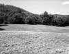 Drew's Property Near I-91