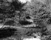 Drew's Property Near I-91