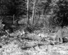 Drew's Property Near I-91