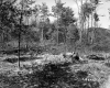 Drew's Property Near I-91