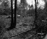 Drew's Property Near I-91