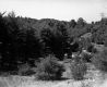 Farrell Farms Inc.