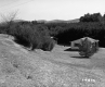 Farrell Farms Inc.