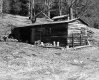Farrell Farms Inc.