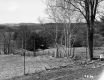 Farrell Farms Inc.