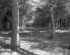 Farrell Farms Inc.