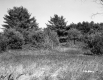 Farrell Farms Inc.