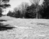 Farrell Farms Inc.