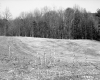 Farrell Farms Inc.
