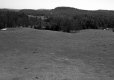 Farrell Farms Inc.